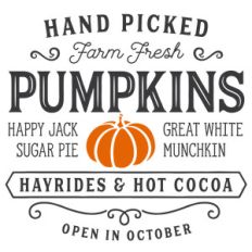 pumpkins phrase