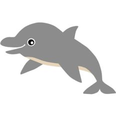dolphin