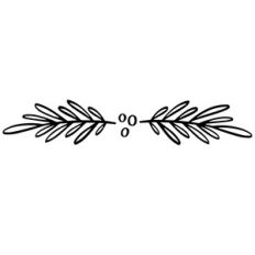 christmas holly branch