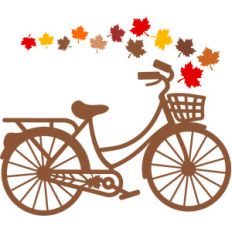 fall bike