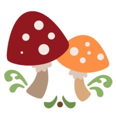 mushroom flourish