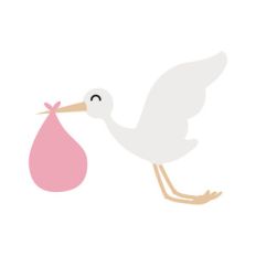 stork