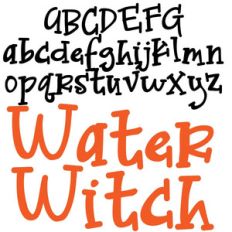 zp water witch