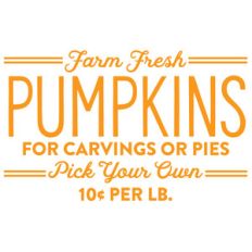 farm fresh pumpkins
