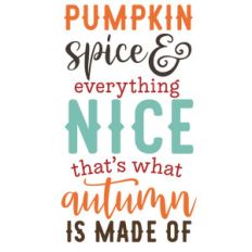 pumpkin spice autumn made of