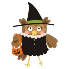 halloween witch owl