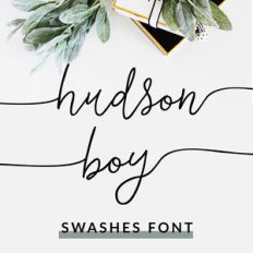 hudson boy swashes font
