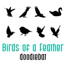 birds of a feather doodlebat