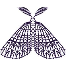 moth