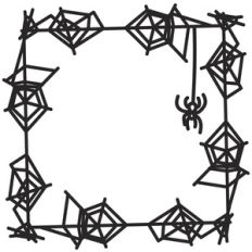 spiderweb frame with spider