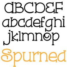 zp spurned