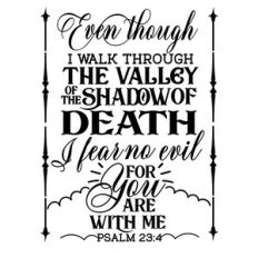even though i walk through the valley of shadow