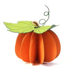pumpkin decoration