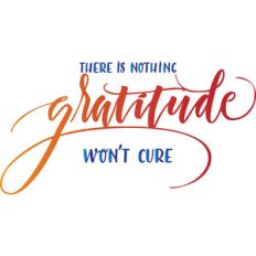 there is nothing gratitude won’t cure