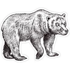 bear