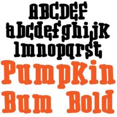 pn pumpkin bum bold