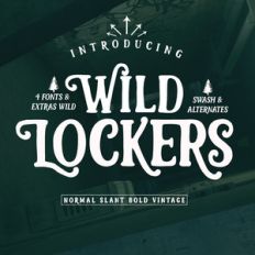 wild lockers font