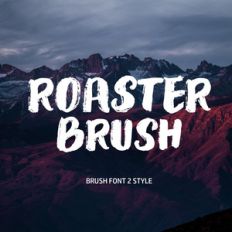 roaster and handson