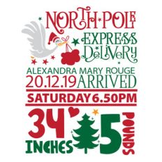 christmas baby birth stats