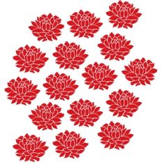 carnation