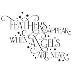 feathers appear when angels are near
