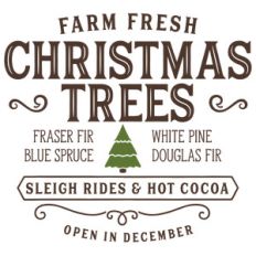 christmas tree farm