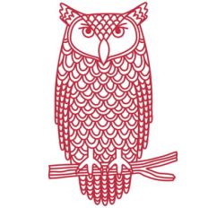 owl