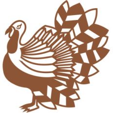 thanksgiving turkey