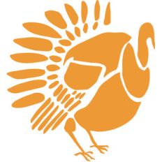 turkey