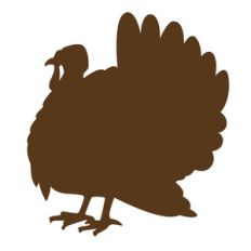 thanksgiving turkey