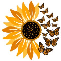 monarch butterfly sunflower