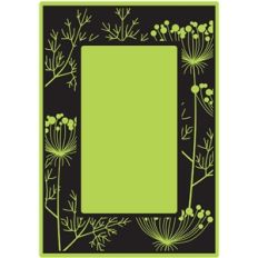queen anne's lace frame