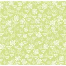 queen anne's lace small print