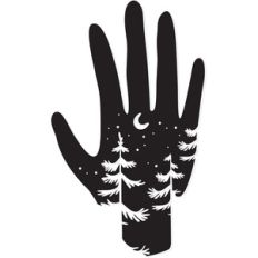 night sky hand