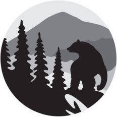 bear layered mountain