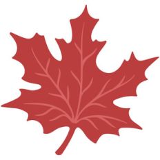 maple leaf