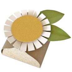 slide box with square petal flower