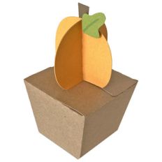 pumpkin box