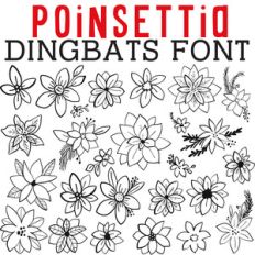 cg poinsettia dingbats