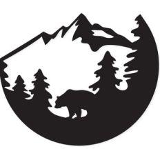 bear forest mountain