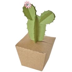 cactus box