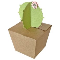 cactus box