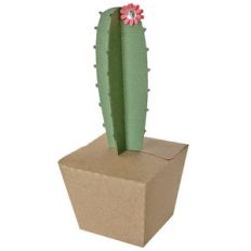cactus 3 box