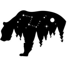 bear night forest