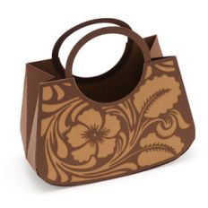 purse