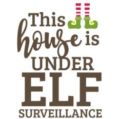 this house is under elf surveillance