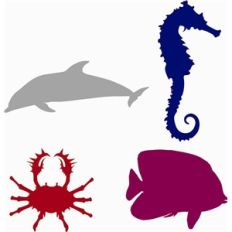 sea life