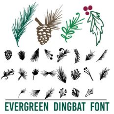 evergreen dingbat font