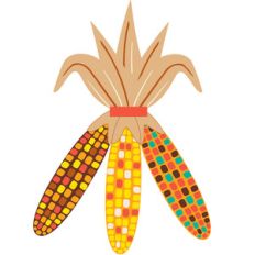 wild corn