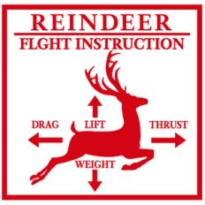 reindeer flight instruction